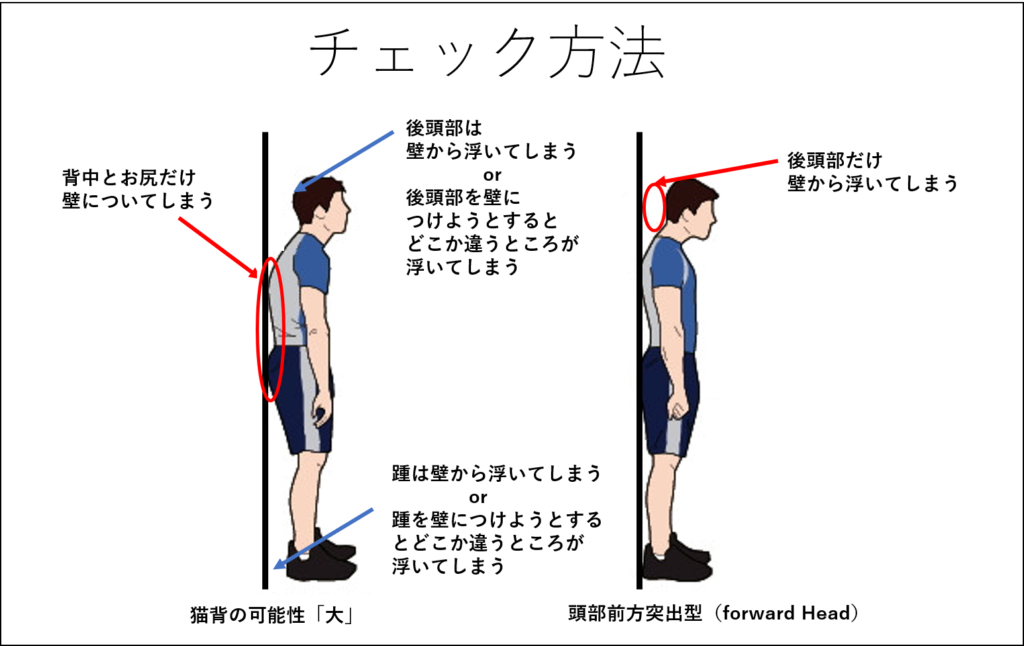 猫背の治し方！猫背矯正ストレッチ、猫背改善筋トレについて | LEAP  